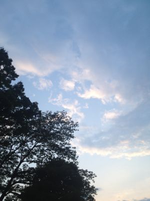 雨_e0239908_4232854.jpg