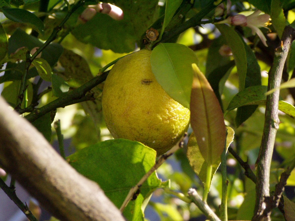 f0324510_21405029.jpg