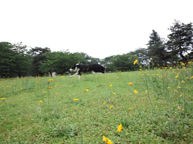 d0224111_10455692.jpg