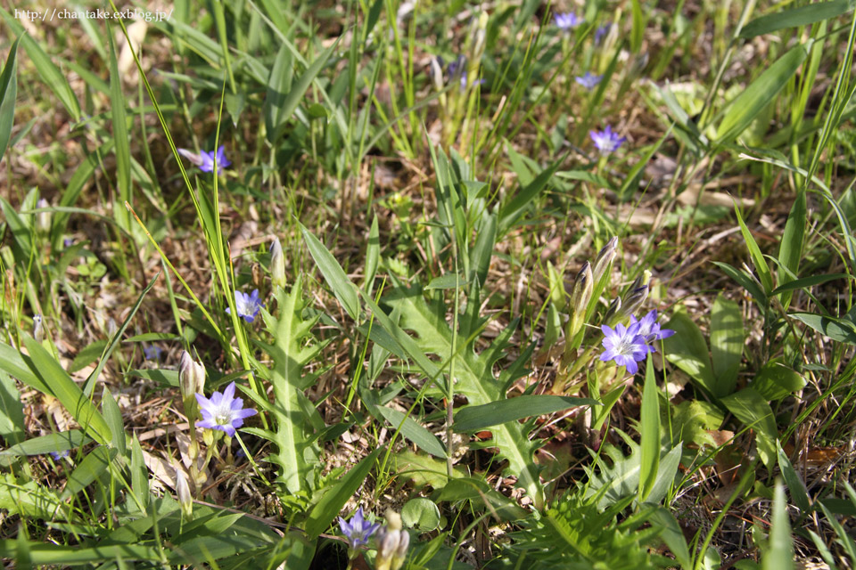 c0189013_77148.jpg