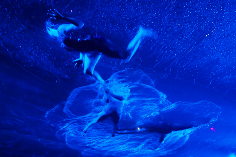 FUERZA BRUTA-フエルサブータ！！！_d0063314_23555113.jpg