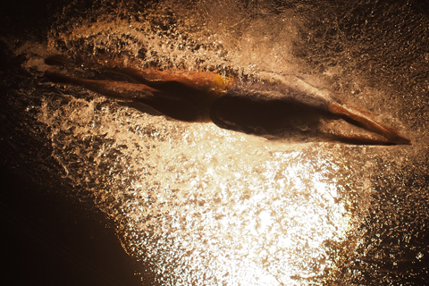 FUERZA BRUTA-フエルサブータ！！！_d0063314_23564739.jpg