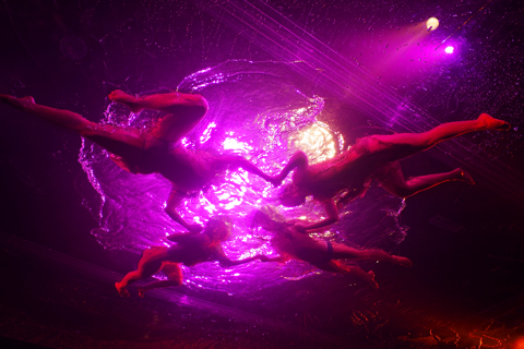 FUERZA BRUTA-フエルサブータ！！！_d0063314_23565595.jpg