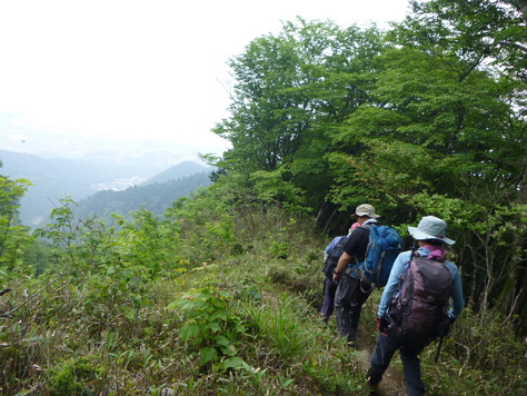 びわ湖バレイ　蓬莱山 (1,174.2M)  に登る　　登頂 編_d0170615_115593.jpg