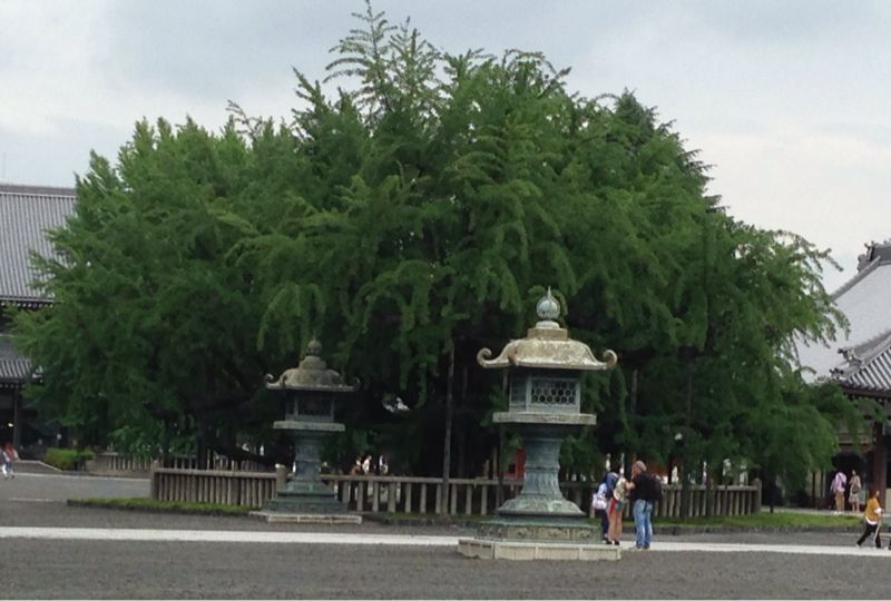 a0098418_22132387.jpg