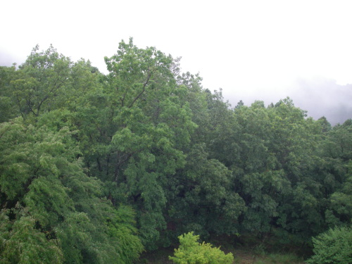 a0315918_18432964.jpg