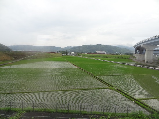 f0000521_21524017.jpg