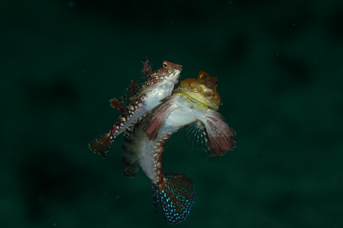 f0206424_8462632.jpg