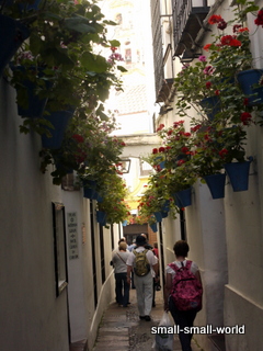 c0039428_14094709.jpg
