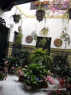 c0039428_14101665.jpg