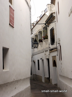 c0039428_14102638.jpg