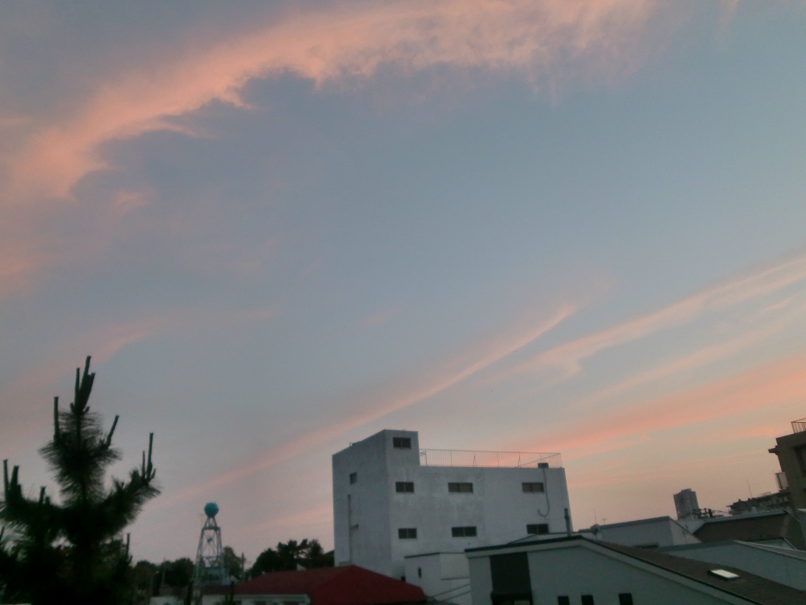 c0221732_1561983.jpg