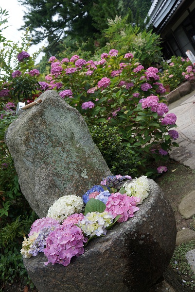 b0164533_21613.jpg