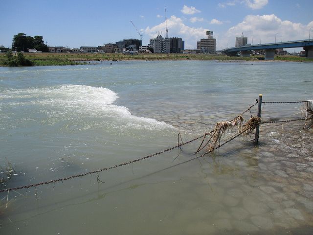 朝から昼へと_f0321433_22510635.jpg