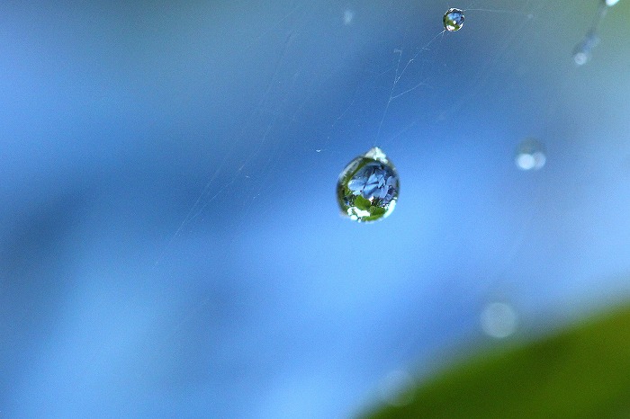 雨のしずく 暮らしの中で