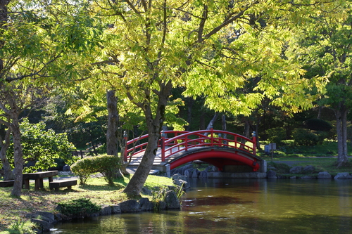 花のシーズンだけど雑草もシーズン 6月22日_f0113639_21494813.jpg