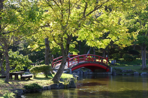 花のシーズンだけど雑草もシーズン　６月２２日_f0113639_21494813.jpg