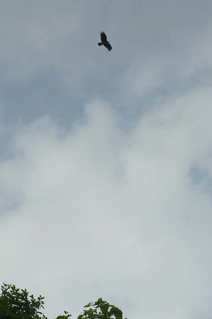 d0237340_2051488.jpg