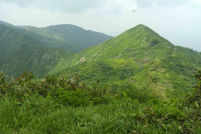 d0237340_7532236.jpg