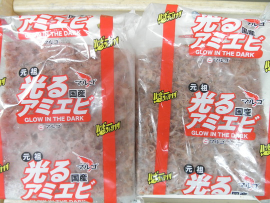 今週のフェリー埠頭_e0212944_756125.jpg