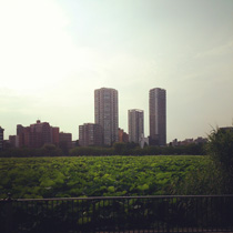 b0277645_18372135.jpg