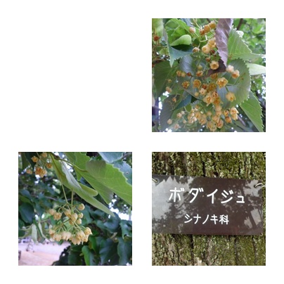 f0031546_10554499.jpg