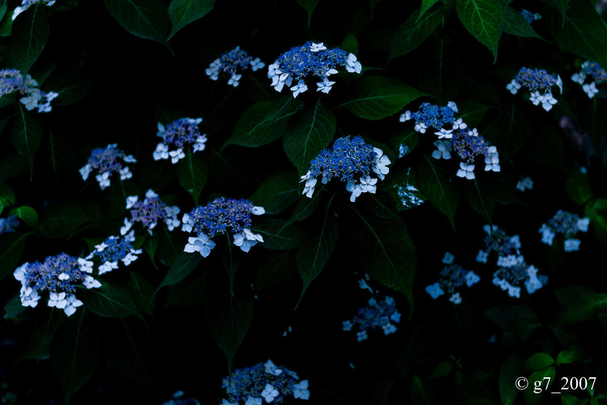 f0152550_186391.jpg