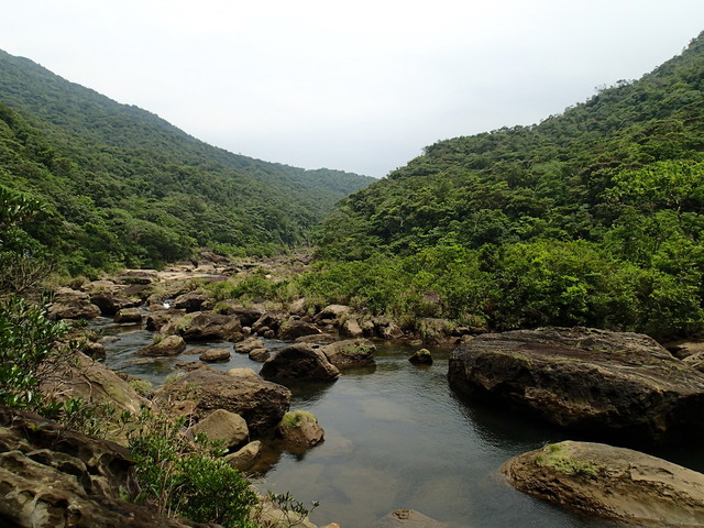 西表島カンピレーの滝の蝶と蜻蛉（沖縄県西表島、20140504）_f0345350_17023263.jpg