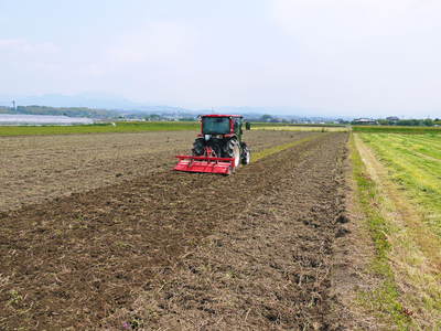 砂田米　田植え取材　その１（れんげ苗床と元気な苗）_a0254656_18361399.jpg