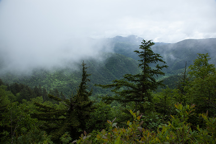 f0054366_15525145.jpg