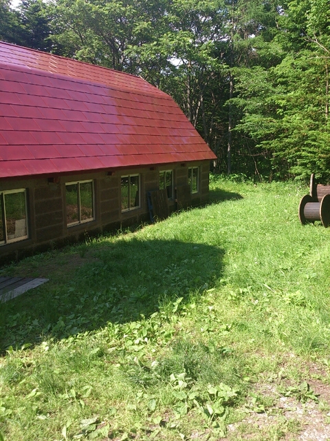 c0311170_1603624.jpg