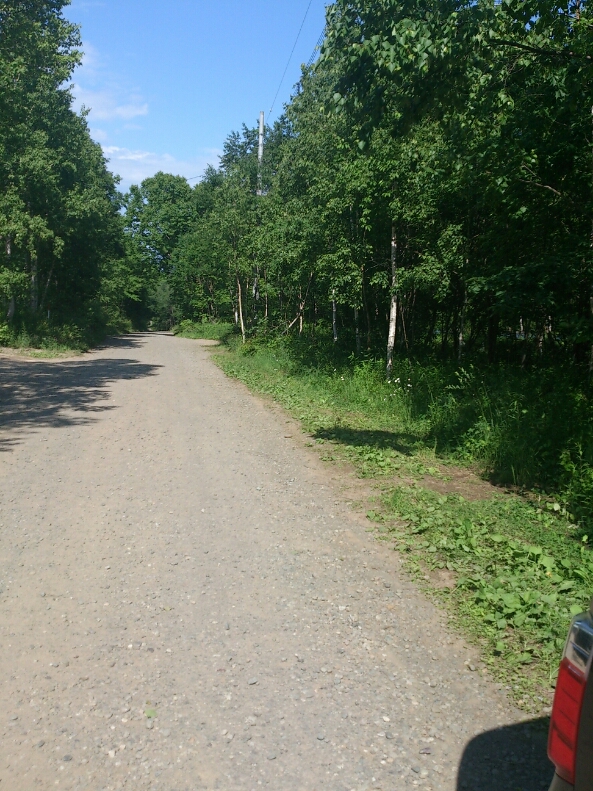 c0311170_161433.jpg