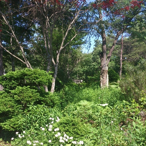 c0311170_1614379.jpg