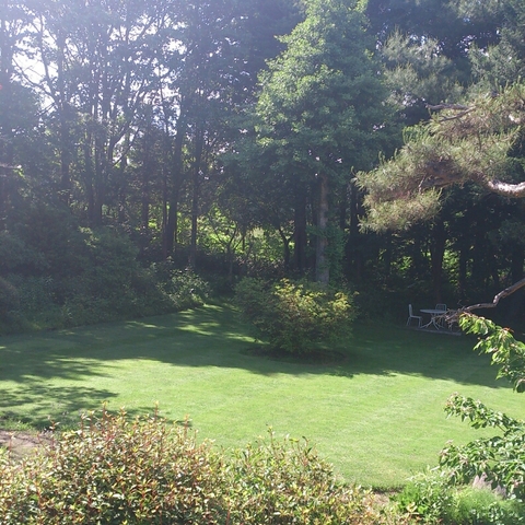 c0311170_1621843.jpg