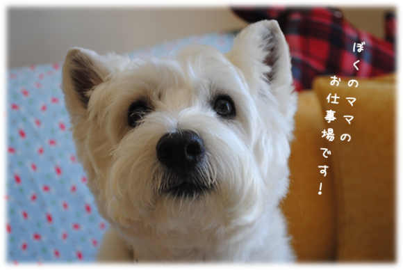 b0242873_18551268.png