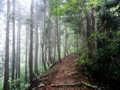 e0255775_1761891.jpg