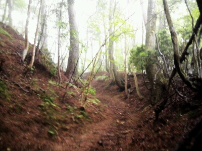 e0255775_177239.jpg
