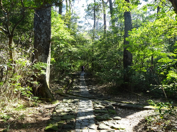 c0066176_8263454.jpg
