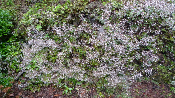c0212083_2136970.jpg
