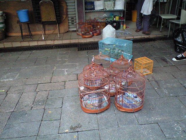 c0149285_12291922.jpg