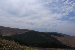 a0137192_2333058.jpg