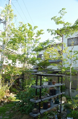 2014.初夏のお手入れ_a0233896_2331241.jpg