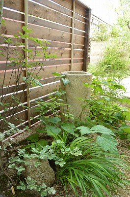 2014.初夏のお手入れ_a0233896_23402446.jpg