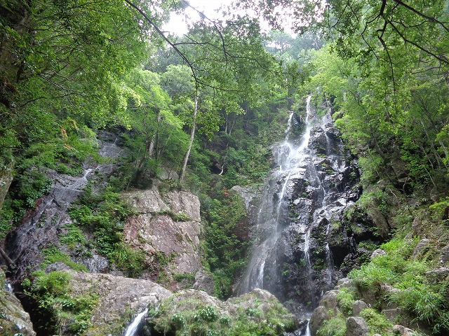 c0147398_18443946.jpg