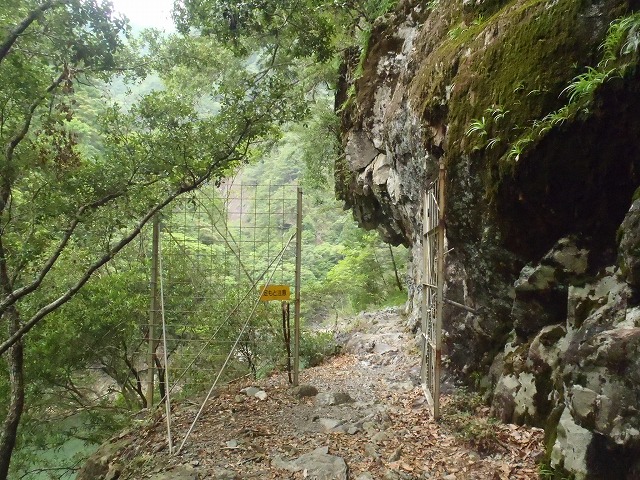 c0147398_18452453.jpg