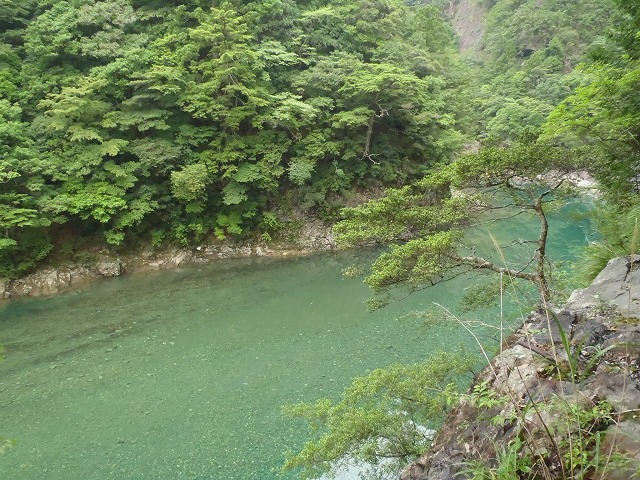 c0147398_1846896.jpg