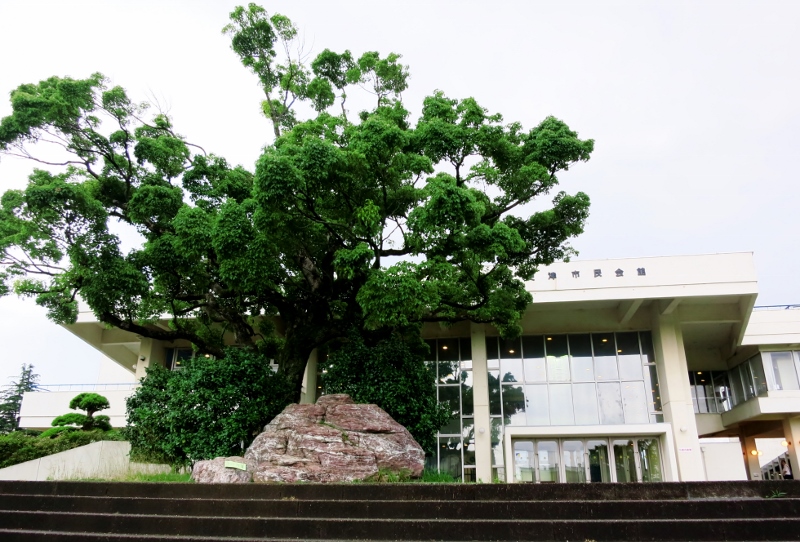 木更津市民会館・あすなろ歌謡会発表会_b0083801_03380226.jpg