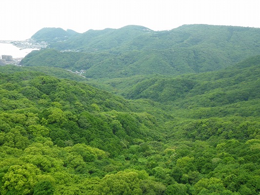 f0187402_21311119.jpg