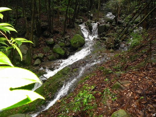 f0187402_2151648.jpg