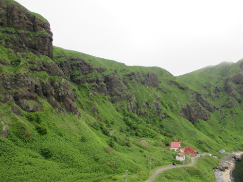 e0242504_23335950.jpg